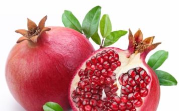 Melograno 75 0 Melograno