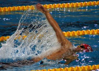 In piscina – il dorso 754 0 dorso