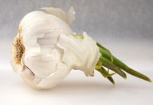 L’aglio 783 0 aglio_ok