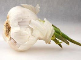 L’aglio 783 0 aglio_ok