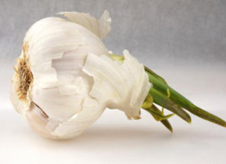 L’aglio 783 0 aglio_ok