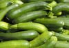 Zucchine 85 0 Zucchine