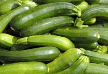 Zucchine 85 0 Zucchine