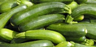 Zucchine 85 0 Zucchine