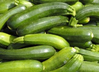 Zucchine 85 0 Zucchine