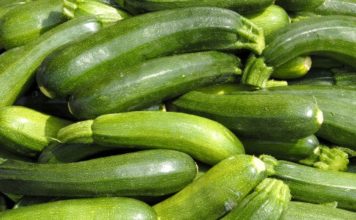 Zucchine 85 0 Zucchine