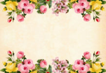 Decorazione: il kit perfetto per decoupage Perfetto kit decoupage