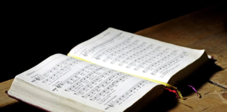 Imparare il solfeggio, la base dello studio di ogni strumento musicale