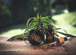 Olio CBD: un vero e proprio concentrato di salute