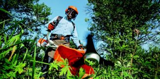 Giardiniere per professione – 3 strumenti di lavoro indispensabili