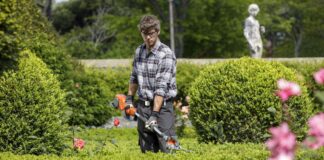 Cosa valutare prima di acquistare un decespugliatore a scoppio