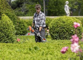 Cosa valutare prima di acquistare un decespugliatore a scoppio