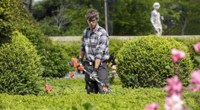 Cosa valutare prima di acquistare un decespugliatore a scoppio